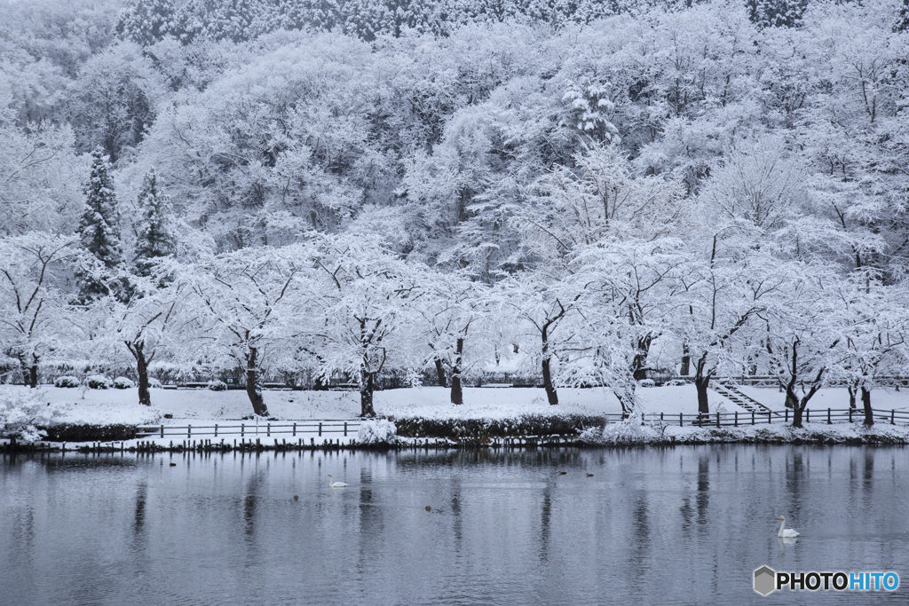 霜月の雪景色