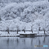 霜月の雪景色