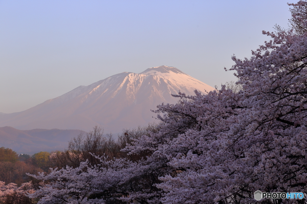 2016 SAKURA 18 四十四田公園