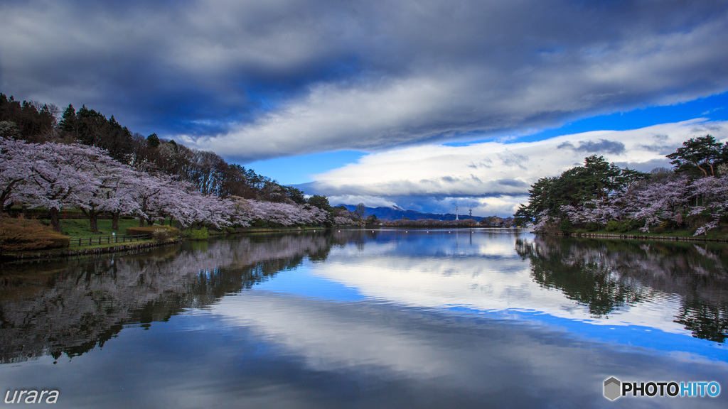 春満開・高松の池