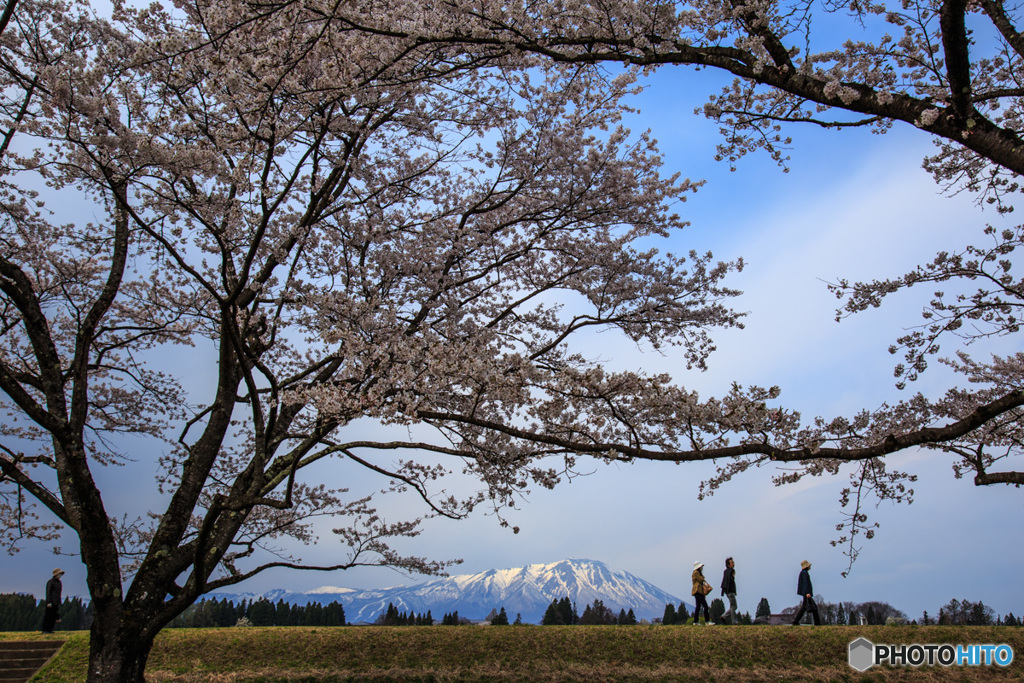 雫石川園地