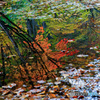 芭蕉沼の秋彩