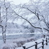 池の冬物語3