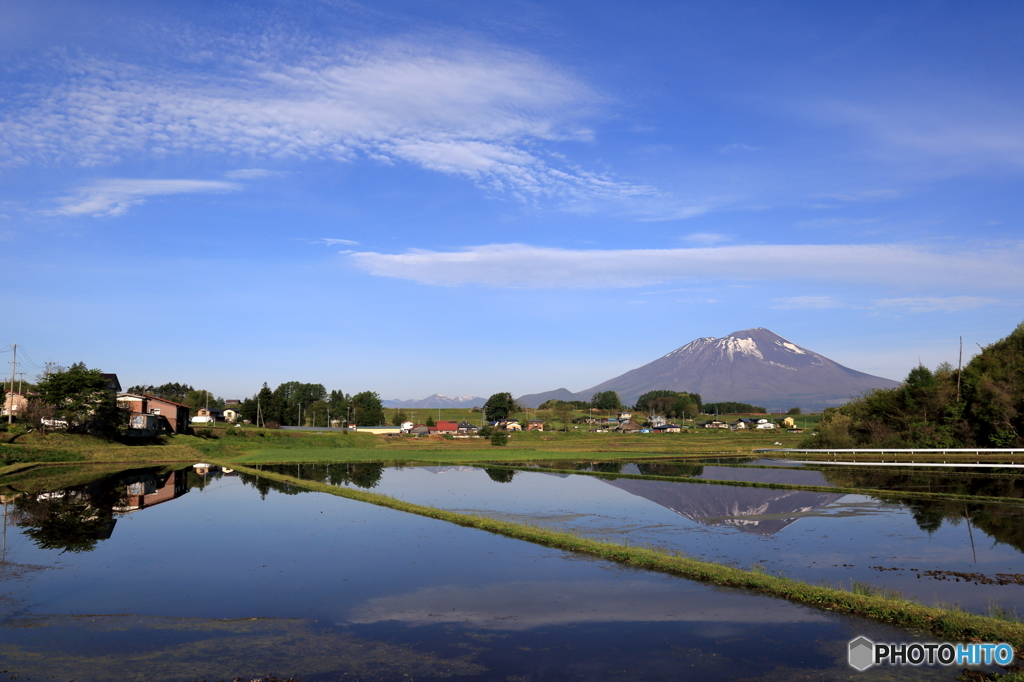 田園春景