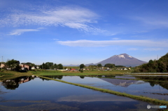 田園春景