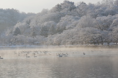 朝靄と名残雪の高松の池　