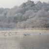 朝靄と名残雪の高松の池　