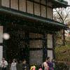 桜2015　弘前公園2