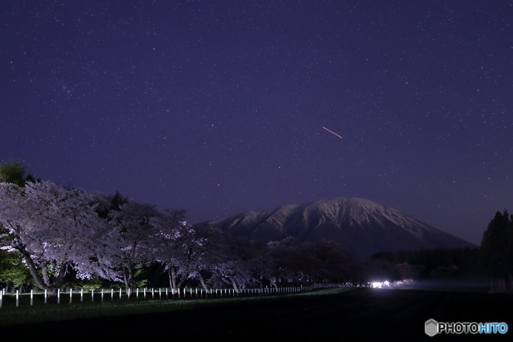 2016 SAKURA 19 小岩井農場