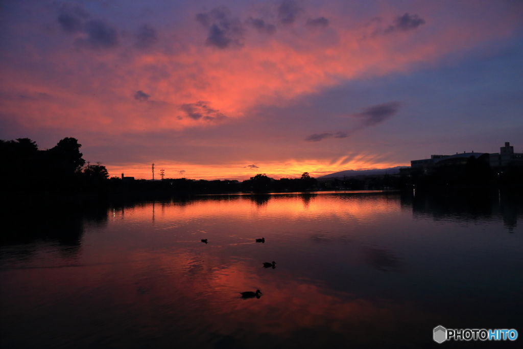 至福の夕焼けⅡ