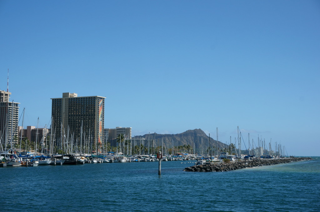 常夏の島７