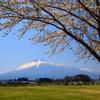 春満開・八幡平市