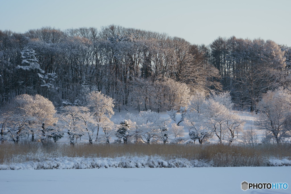 雪景色2