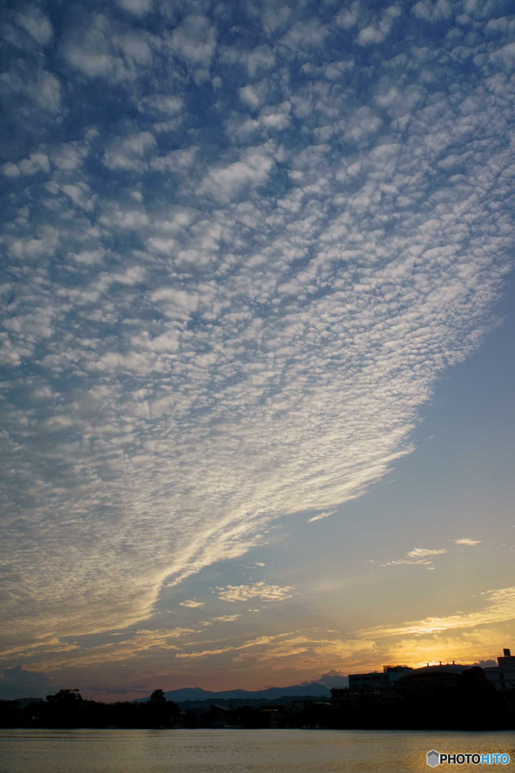 高積雲広がる夕景