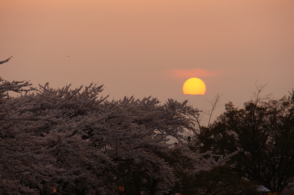 夕日に染まって　２