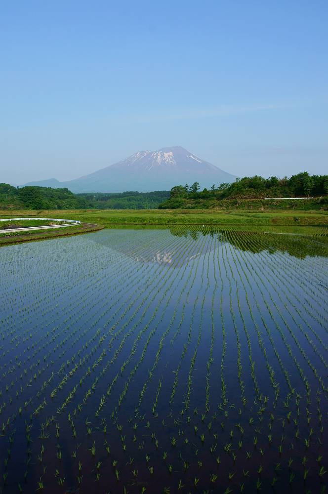 田植完了！