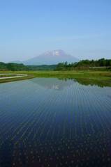 田植完了！