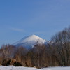 春模様７