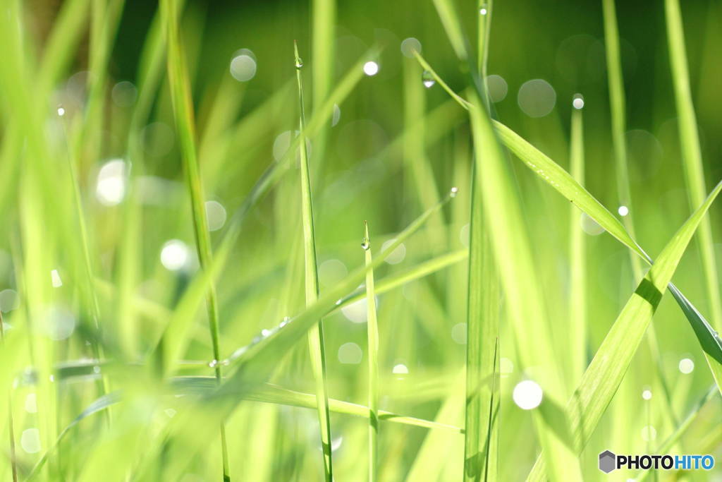 梅雨明け近し