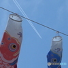 ５月のある晴れた日