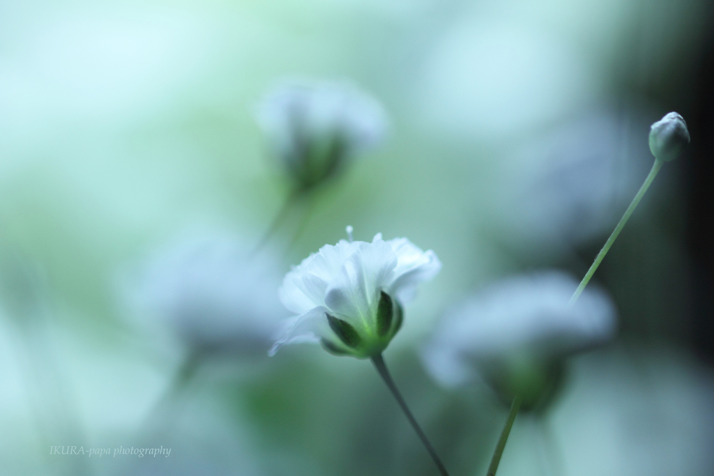 ☆春の目覚め