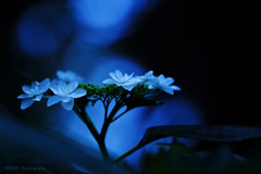 ☆Midnight