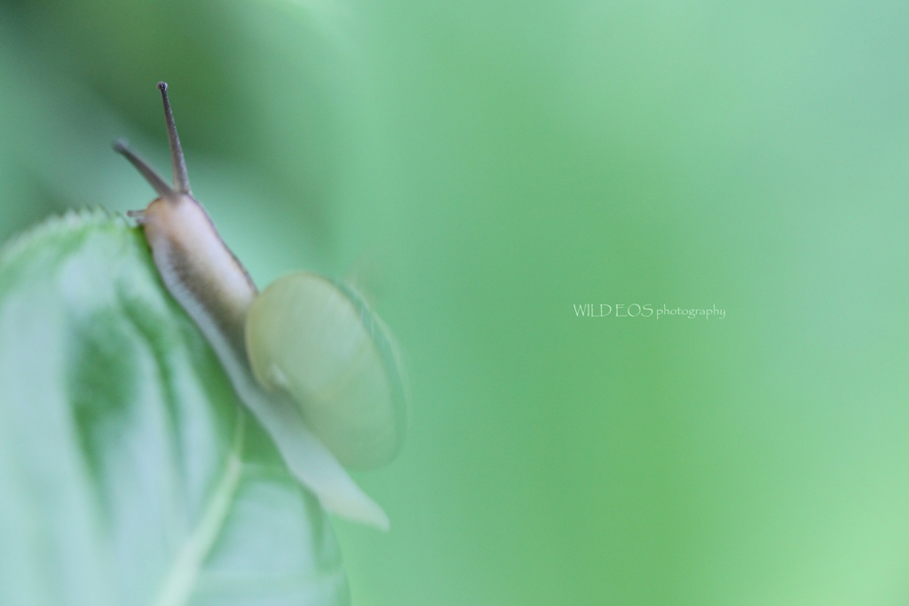 ☆Day dreamな私♪