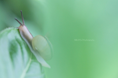 ☆Day dreamな私♪