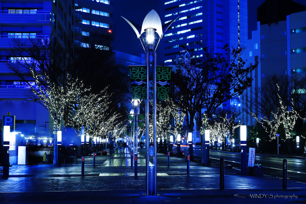 Blue Night