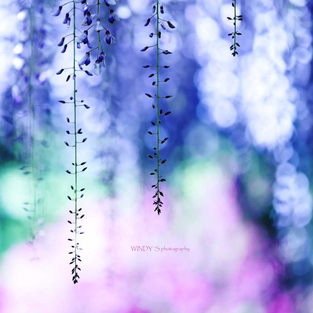 ☆Rain of Light