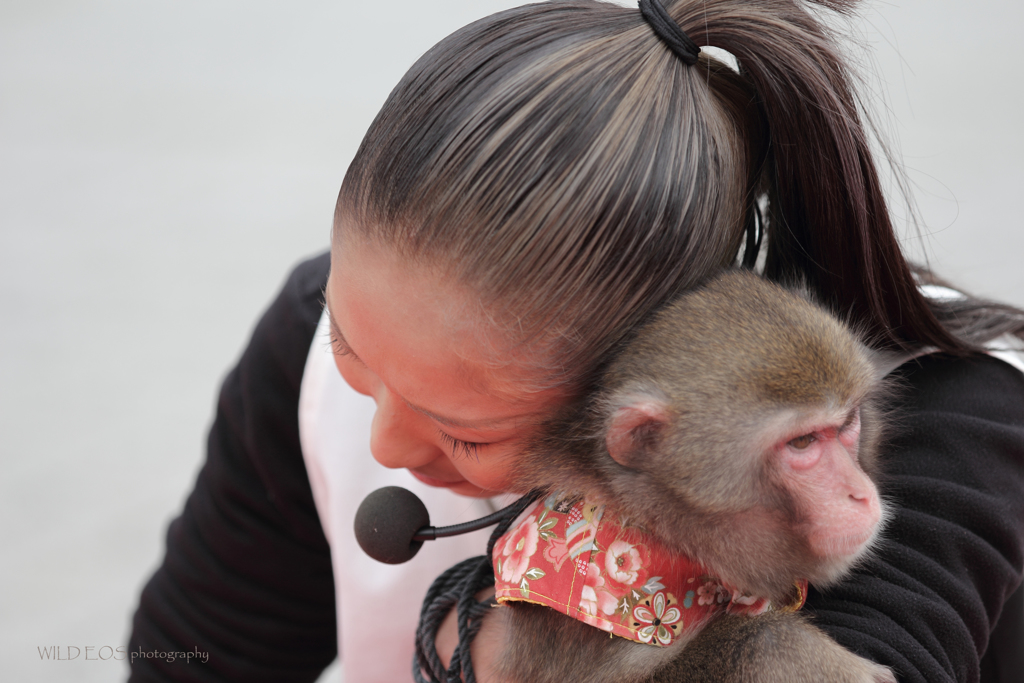 ☆あなたしかいない・・・