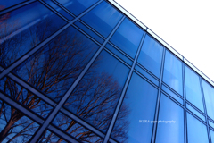 ☆Blue window