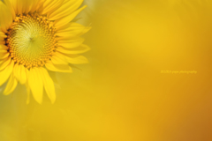 ☆Summer Message