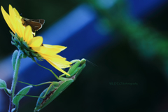 ☆LOCK-ON～Before♪