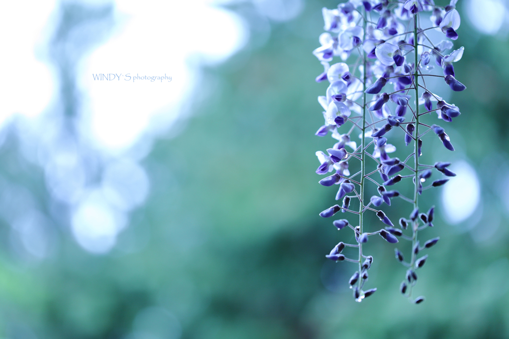 ☆Bright Morning