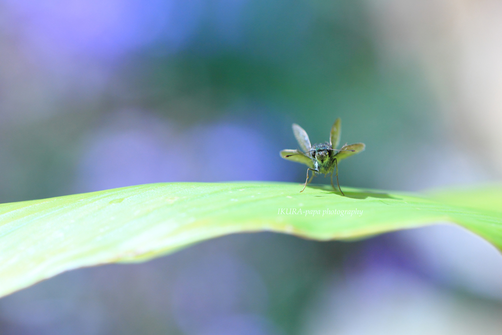 ☆別れの予感♪