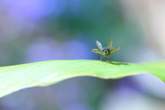 ☆別れの予感♪