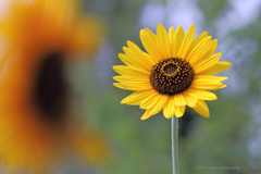 ☆ボクの未来♪