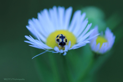 ☆ボクのおうち♪