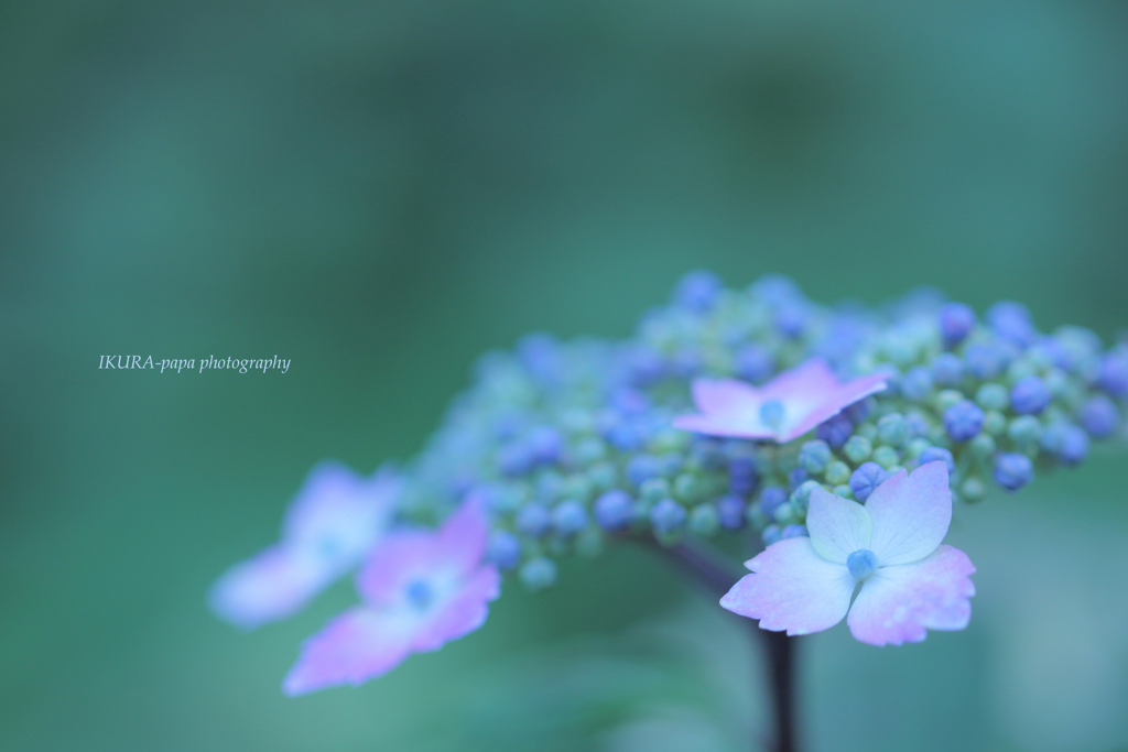 ☆パステルなキ・モ・チ♡