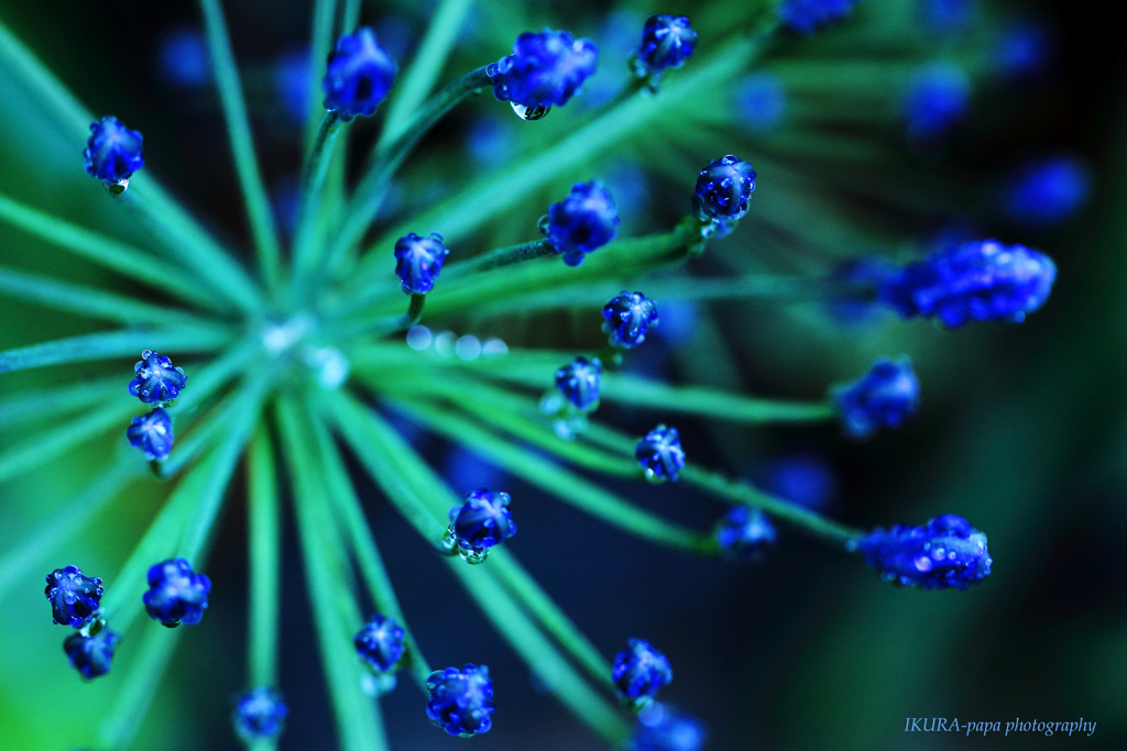 ☆Blue crystal