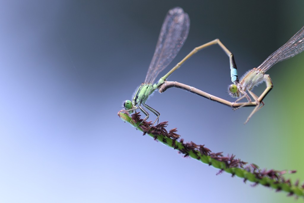 ☆愛のカタチ Ⅱ