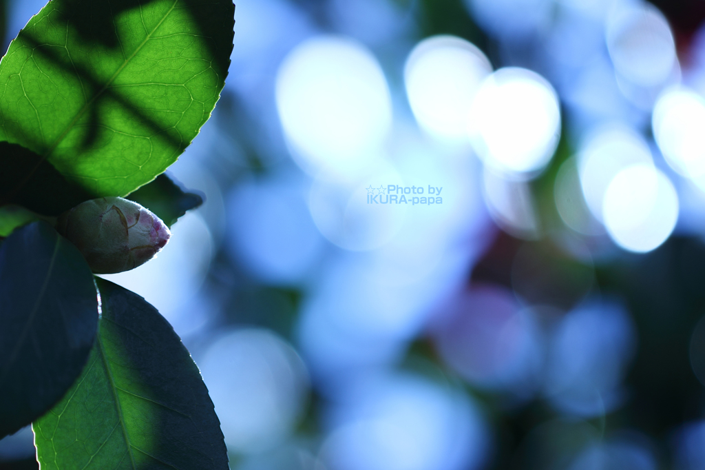 ☆Morning Bright