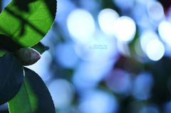 ☆Morning Bright