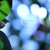 ☆Morning Bright