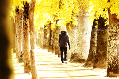 ☆黄昏の道