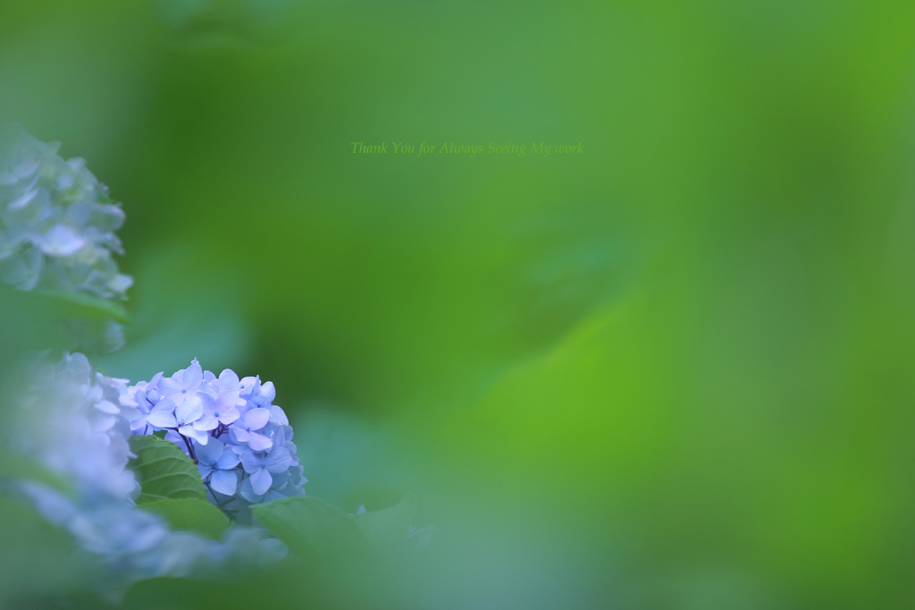☆Green Message