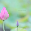 ☆Pastel Moments