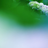 ☆Early Summer Morning