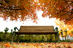 ☆The Bench